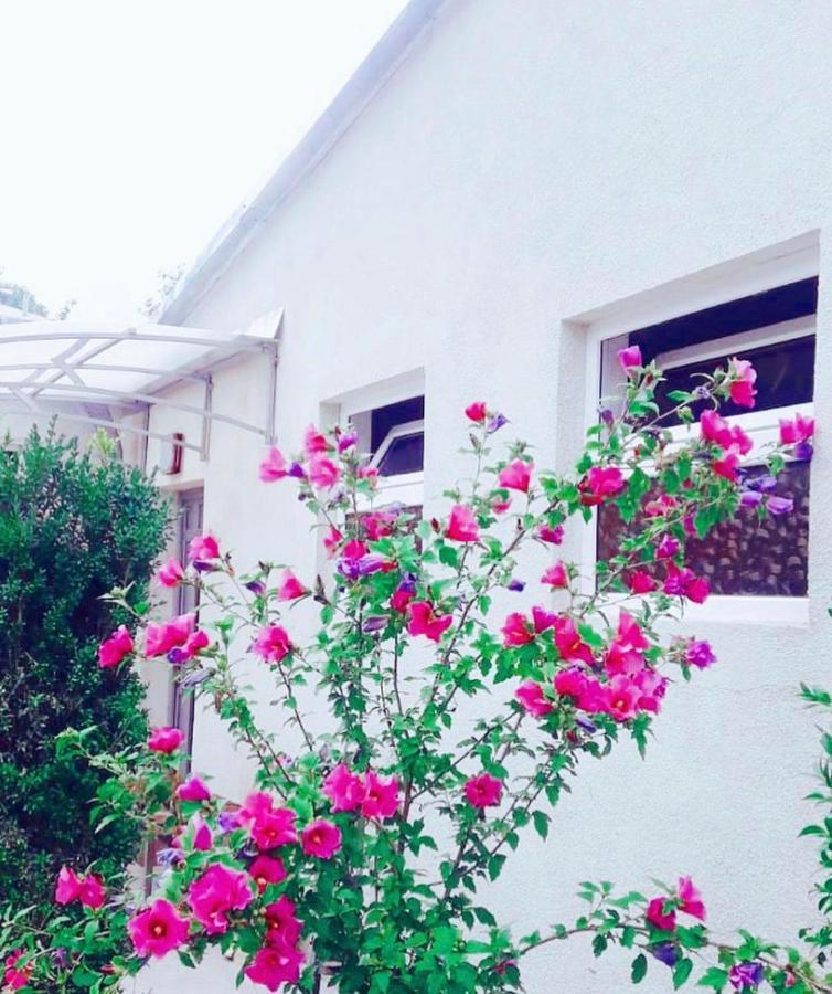 ديليجان Green Garden B&B المظهر الخارجي الصورة